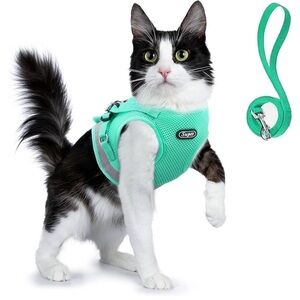 Supet turquoise step in cat harness & leash, NIB.